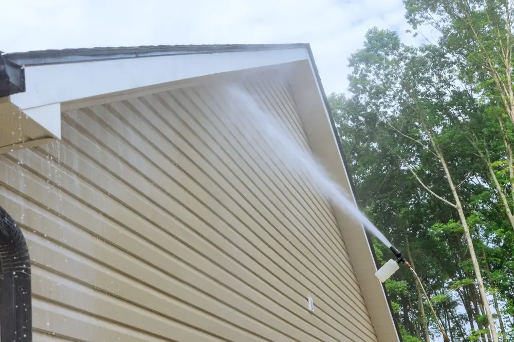 House & Siding Soft Washing completed by High Pressure Details